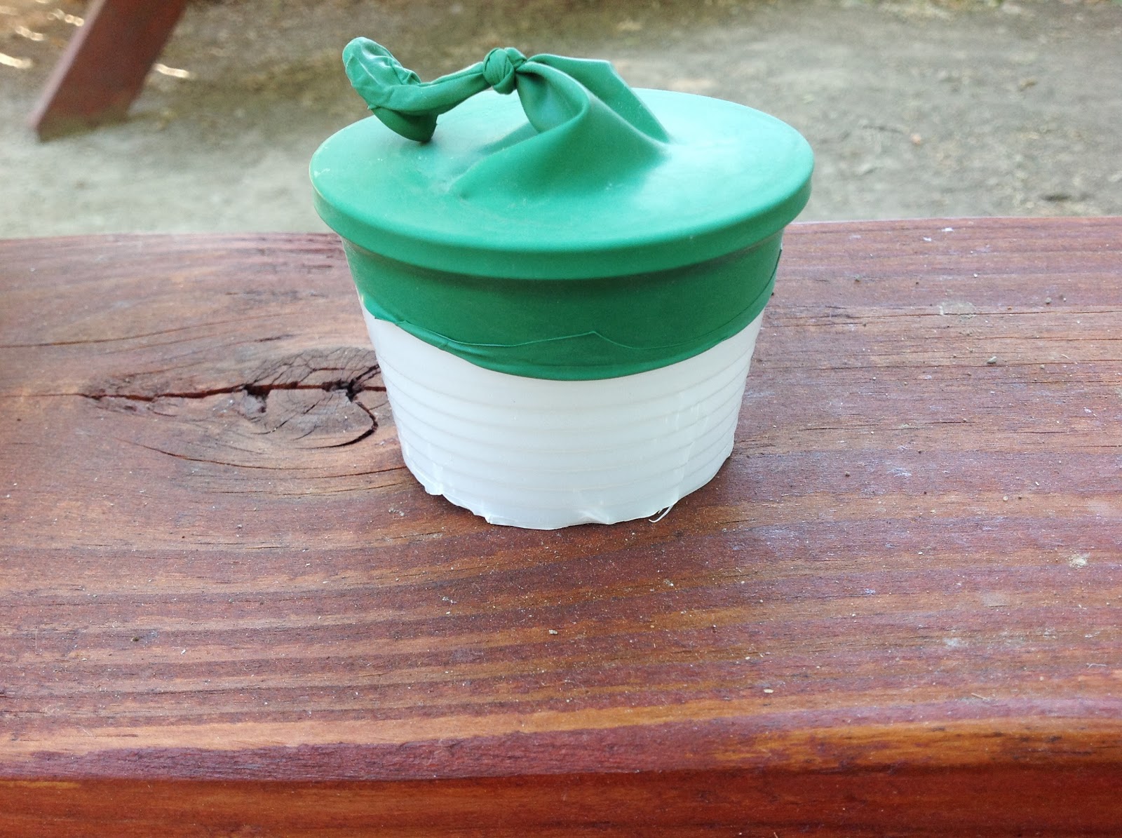 Puddle Wonderful Learning The Great Marshmallow Shoot Out