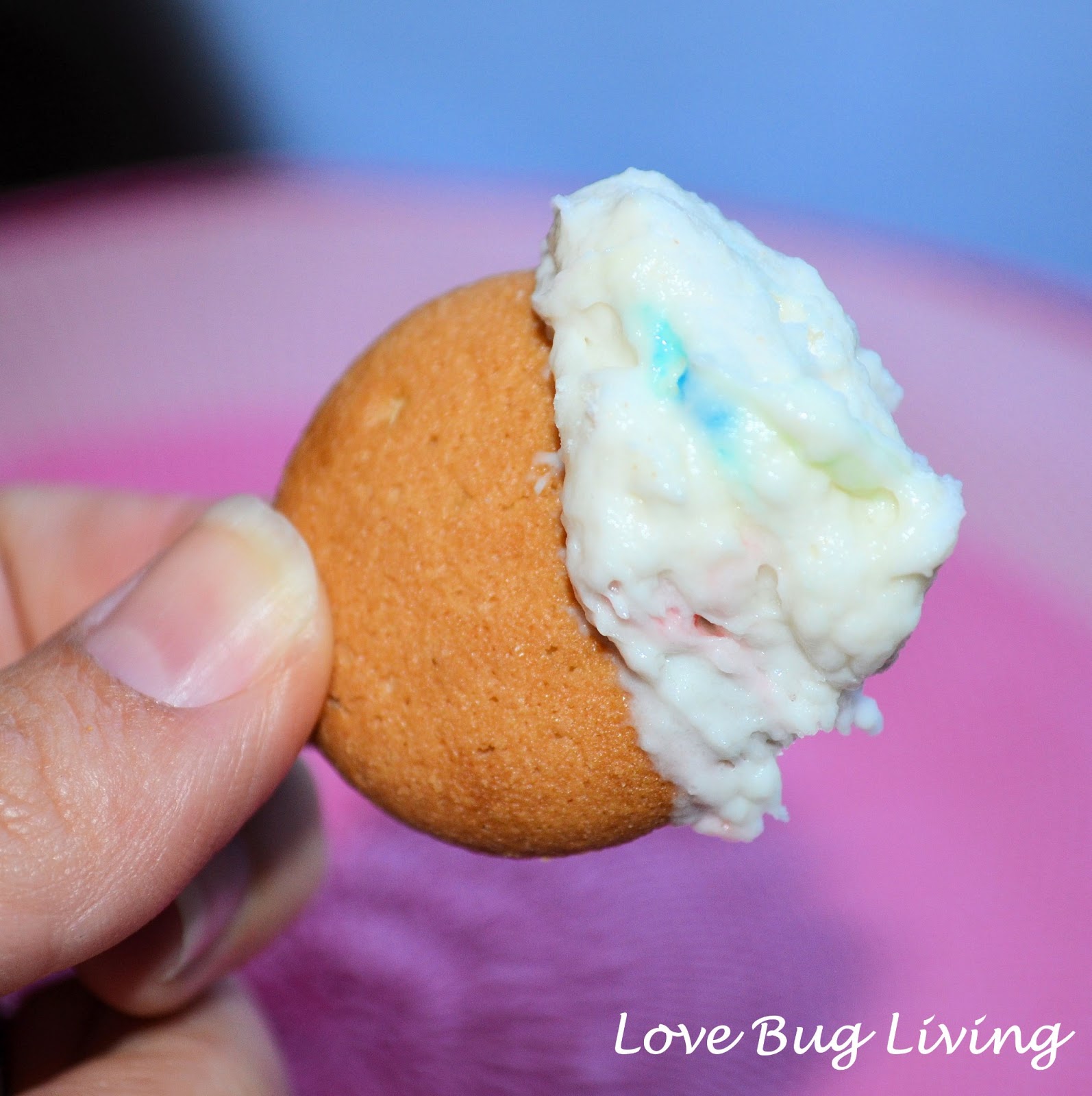 Love Bug Living Skinny Funfetti Cake Dip