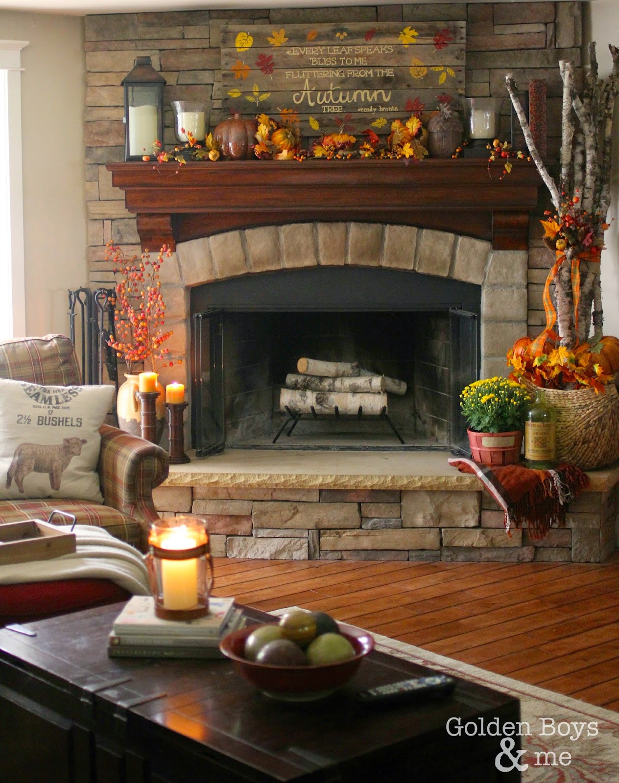 Autumn Inspiration Golden Boys & Me