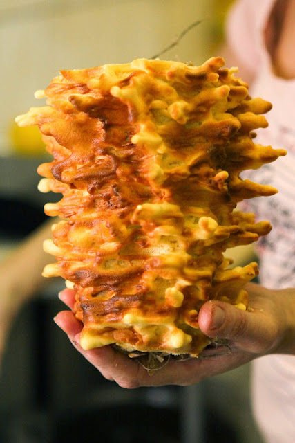Sękacz