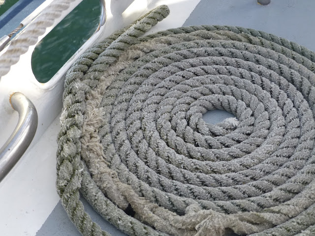 Schooner Freedom. St. Augustine, Florida