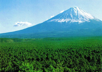 Misteri Hutan Aokigahara Tempat Yang Bagus Untuk Mati