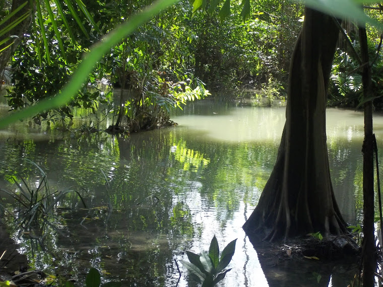 WE MATAN MAROMAK (DANAU DEWA)