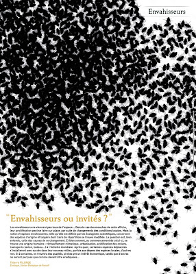 lisaa_biodiversite_biodiversité