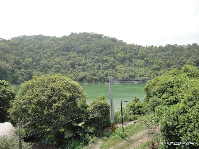 宜蘭｜香草菲菲在玻璃花園浪漫用餐的體驗/吃buffet/賞花草