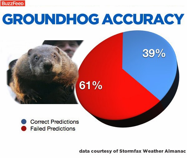 groundhog day accuracy the drawing board predictions groundhog day accuracy the drawing board predictions