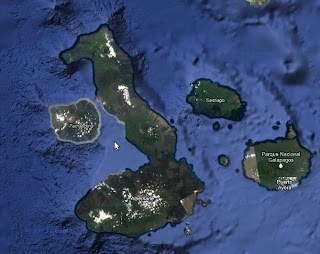Fakta Unik Plus Fakta Unik Plus : Pulau Kuda Laut
