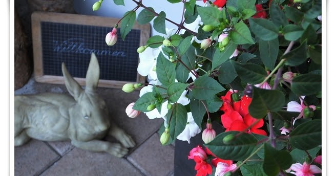 Happy Sonne: Im Garten....