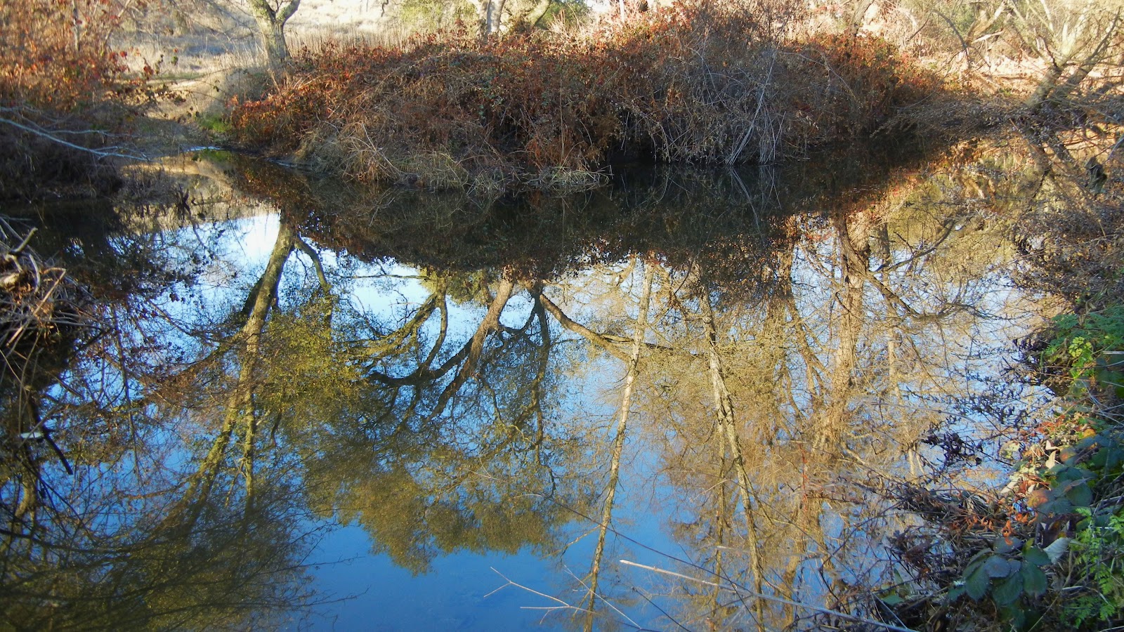 Peachy Hiker Miners Ravine near Roseville, CA