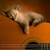 WAAAA.......MACAM NAK PENGSANN LAHH!!..