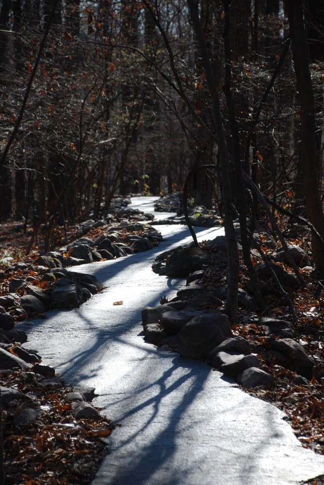 Stone River / Jon Piasecki.