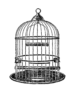 bird cage illustration bird cage digital clip art