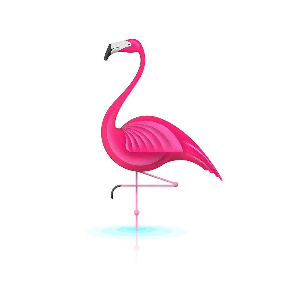 flamingo+final+square1000px