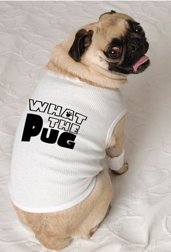 toys for pugs