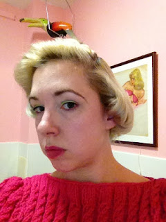 Snoodlebug: February 2013