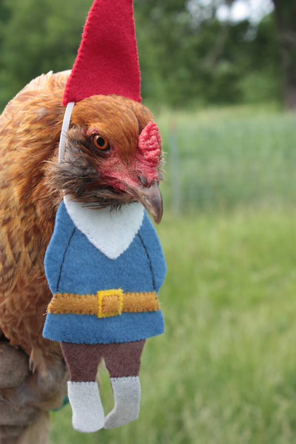 chickens with hats