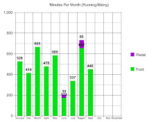 2011 Mins Per Month
