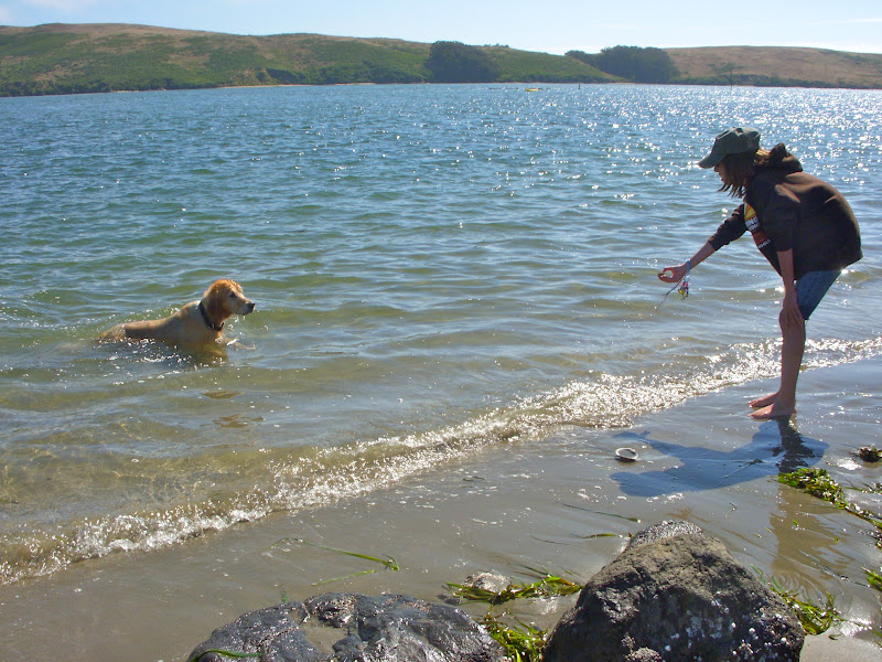 Honey's Treasures Camping Trip to Dillon Beach