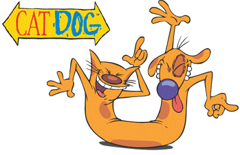 cat dog tumblr cat dog tumblr