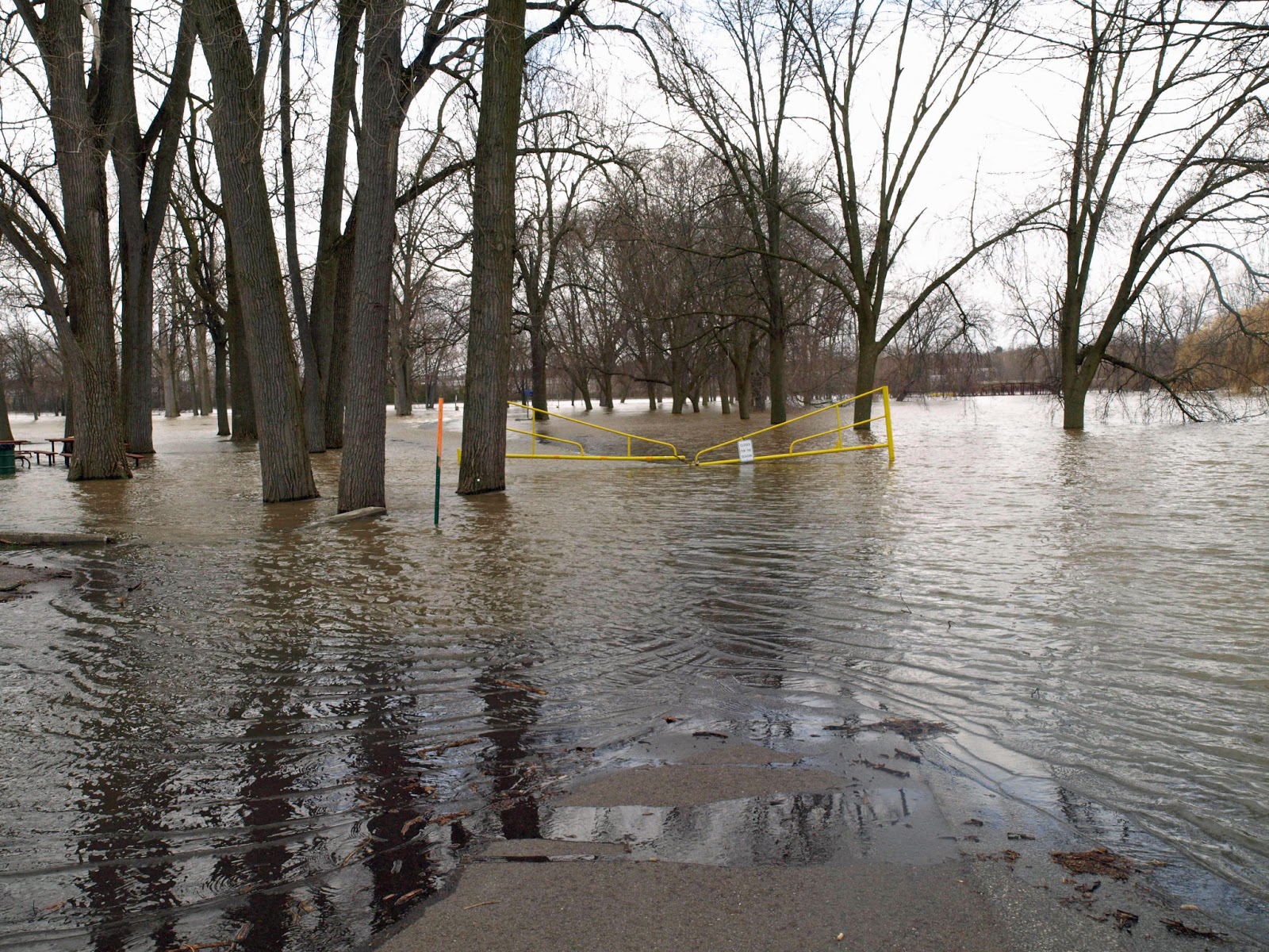 All Things Grand Rapids Fourth Day of Grand Rapids Flooding Photos 4