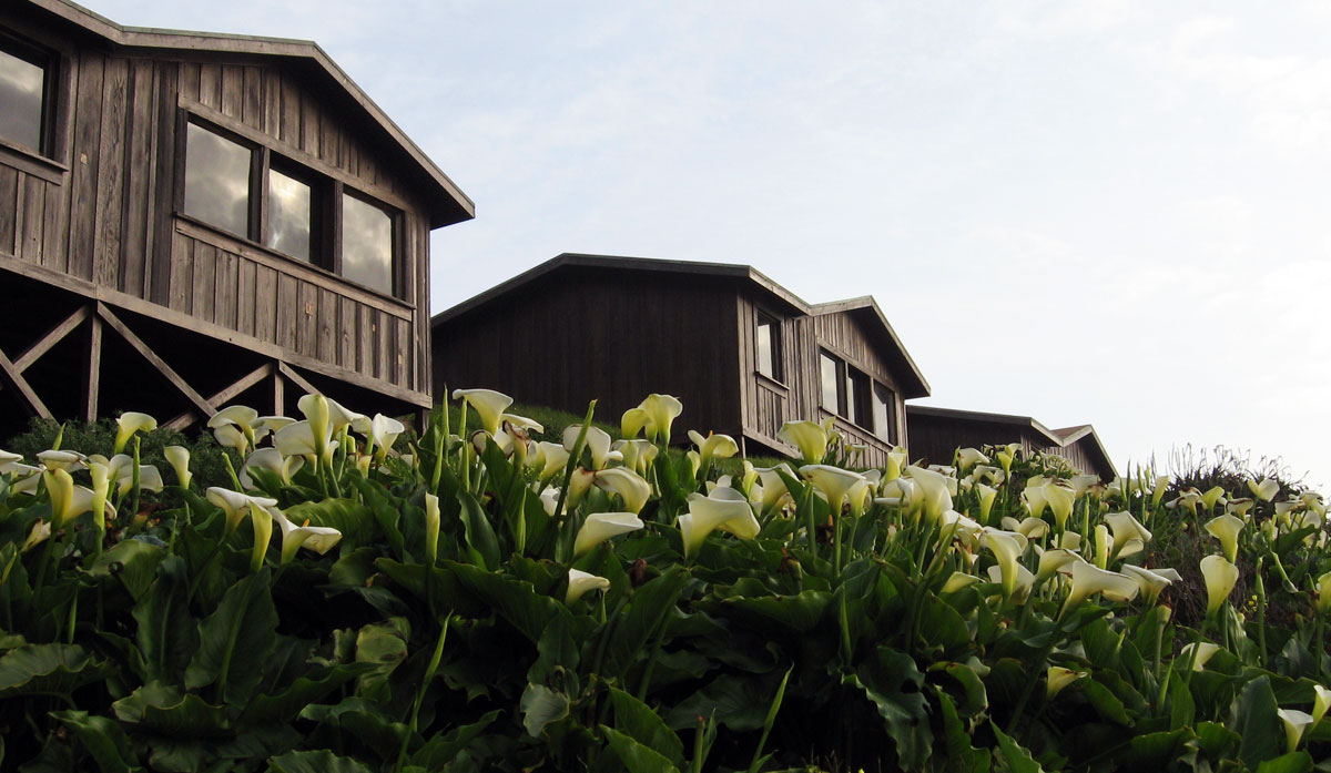 Steep Ravine Cabins