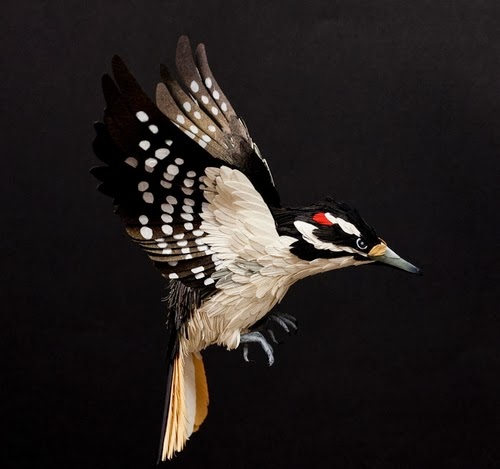 09-Hairy-Woodpecker-Paper-Bird-Sculptures-Colombian-Artist-Diana-Beltran-Herrera-www-designstack-co