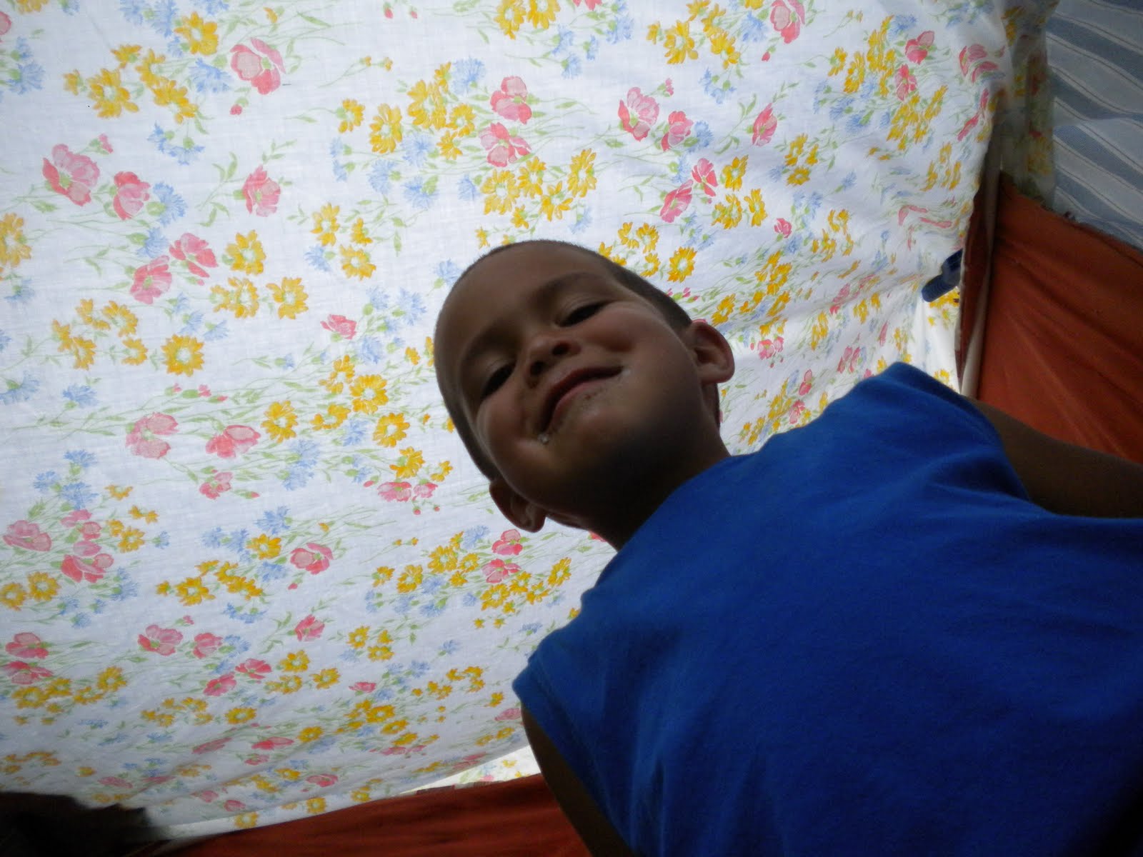 Just the 4 of us: How to: Make an Easy Backyard Fort on the cheap