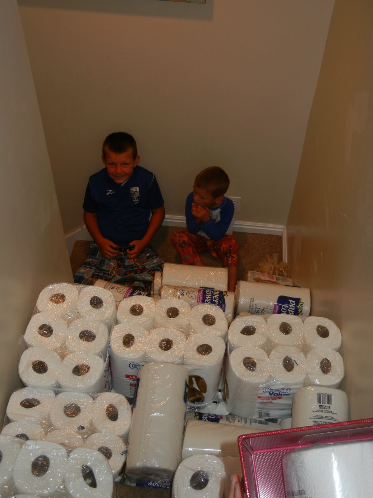 Food Science cheapest place to buy toilet paper Food Science cheapest place to buy toilet paper