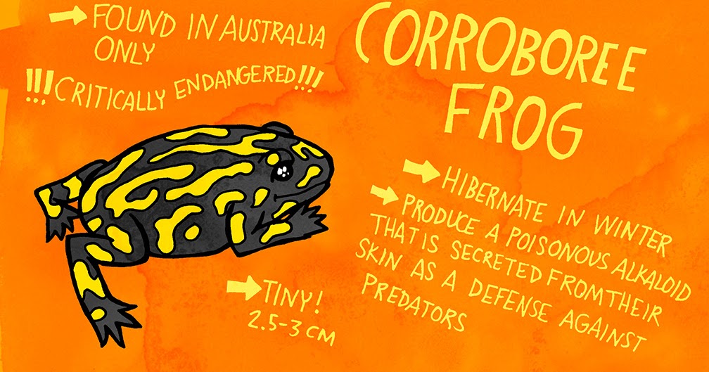 My Zoetrope 064 Corroboree Frog