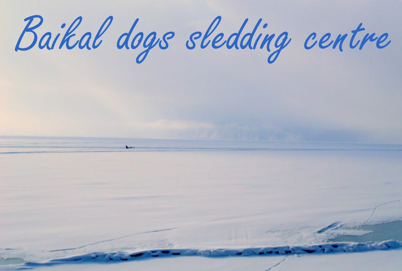 Baikal dogs sledding centre