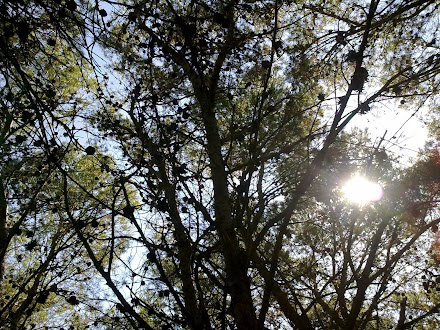 El libro que te empuja a aprender a meditar