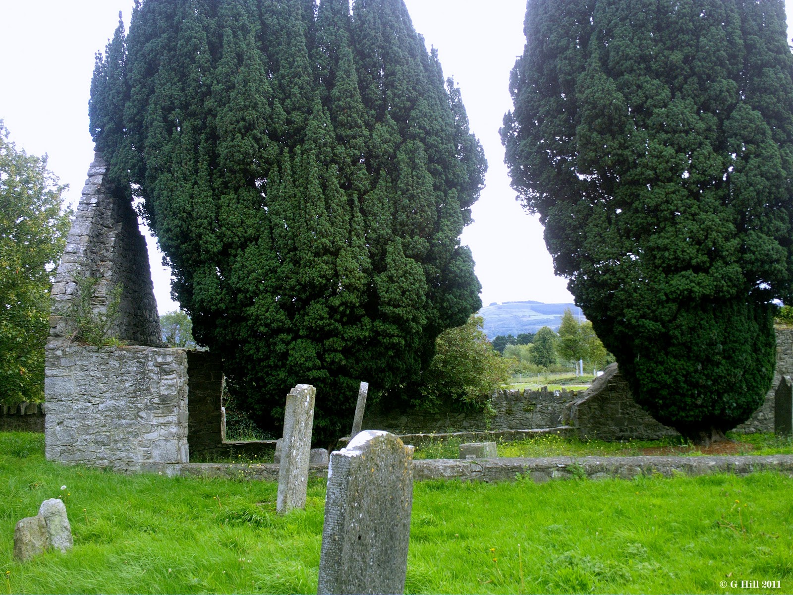 Ireland In Ruins Old Templeogue Church Co Dublin