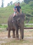 Package Elephant Riding