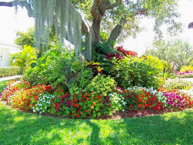 plantas jardim tropical: Decoração: JARDINS TROPICAIS – PLANTAS TÊM BOA ADAPTAÇÃO plantas jardim tropical: Decoração: JARDINS TROPICAIS – PLANTAS TÊM BOA ADAPTAÇÃO