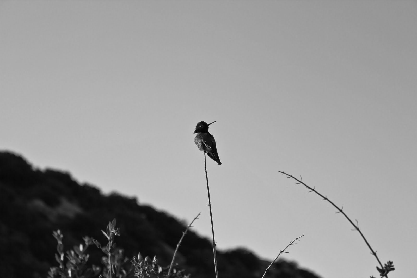 Danielle Renée Photography • Fine Art Photographer & Photojournalist