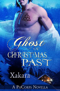 Beyond the Veil ~ Paranormal Romance Authors: Characters Welcome, And Readers Too!