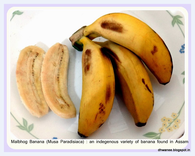 Dhwanee Malbhog Banana Banana variety found in north east India