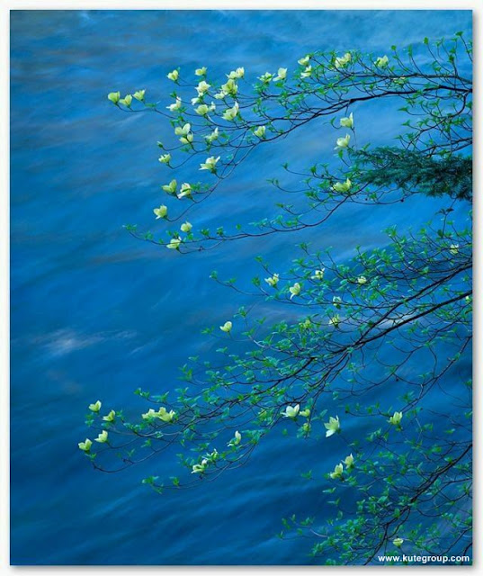 Awesome Nature Photos Photos Collection