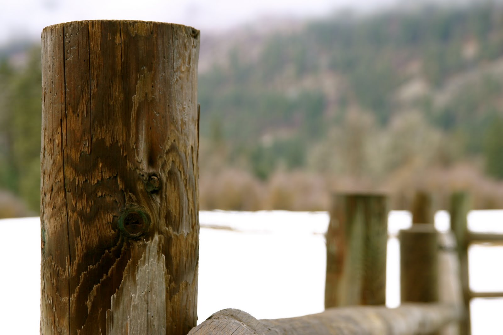 101 Uses for a Cardboard Box Spring Refresh