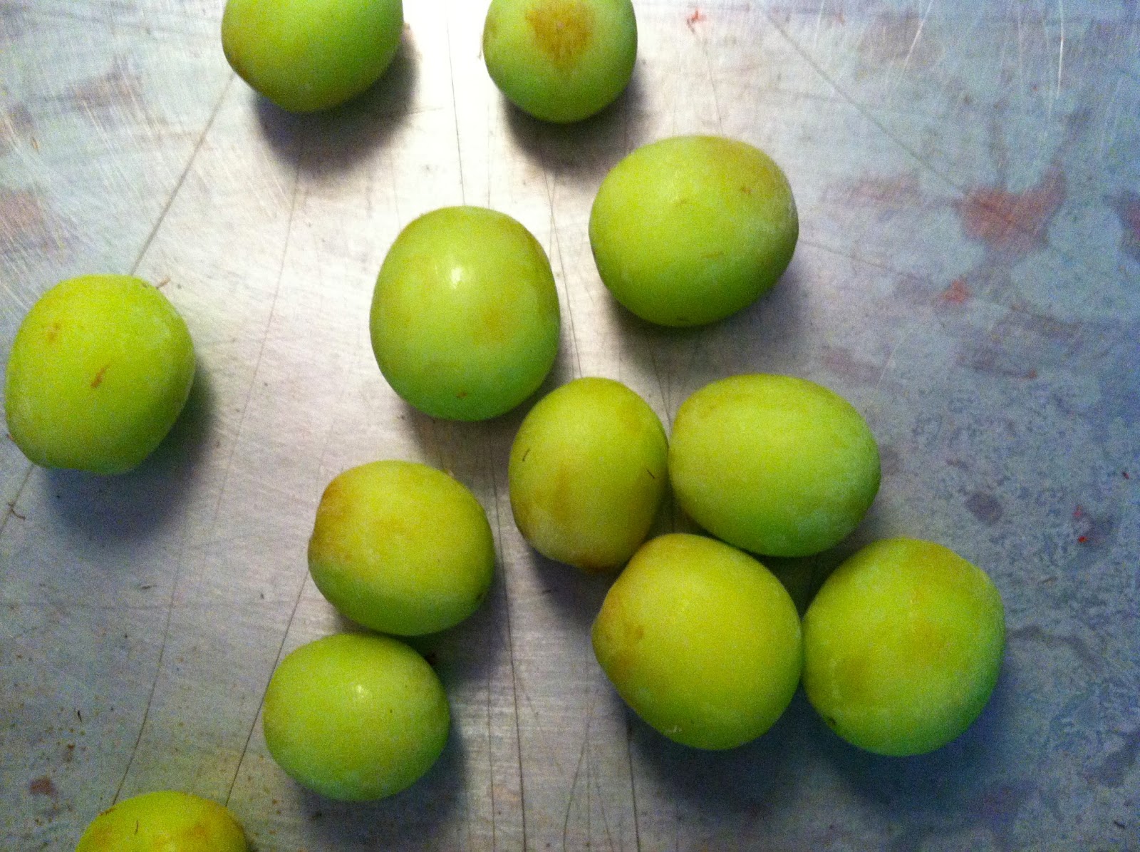 Tagan's Kitchen Frozen Fruit to Beat the Heat