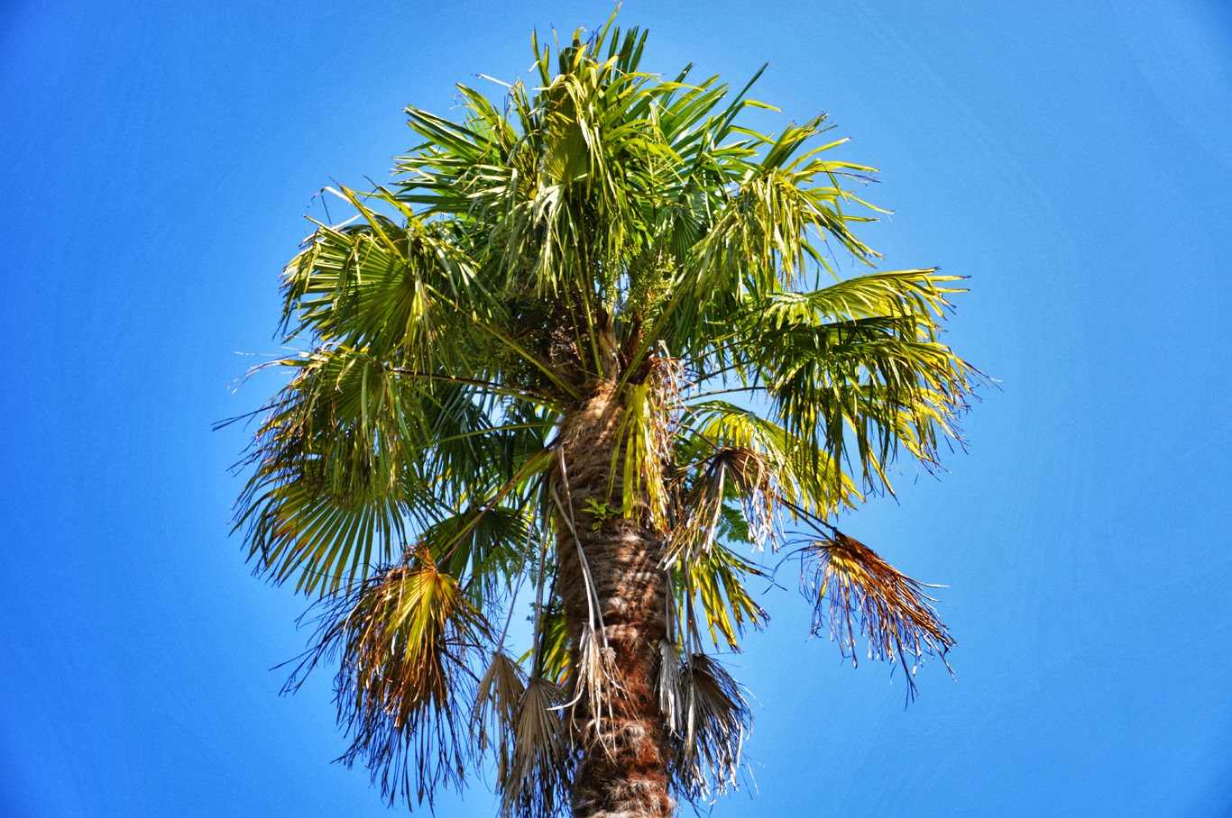 Off the beaten path Adventure Travel Adventure Vacation Ideas