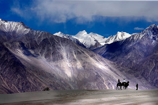 கண் கவரும் அழகுக்காட்சிகல் - Page 2 Nubra+Valley%252C+Ladakh%252C+Jammu+and+Kashmir