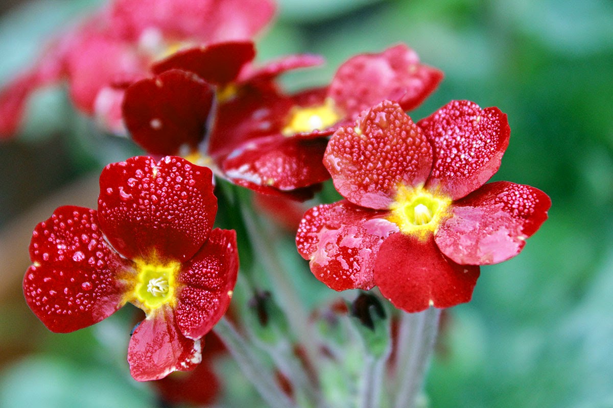 Gieo quẻ tháng 9 - 2014 của bạn