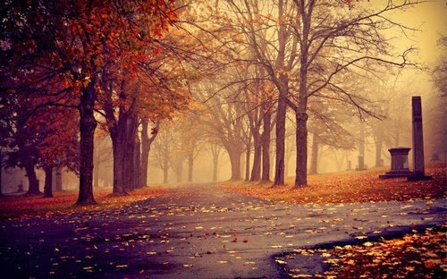 Morning Autumn Park Morning Autumn Park