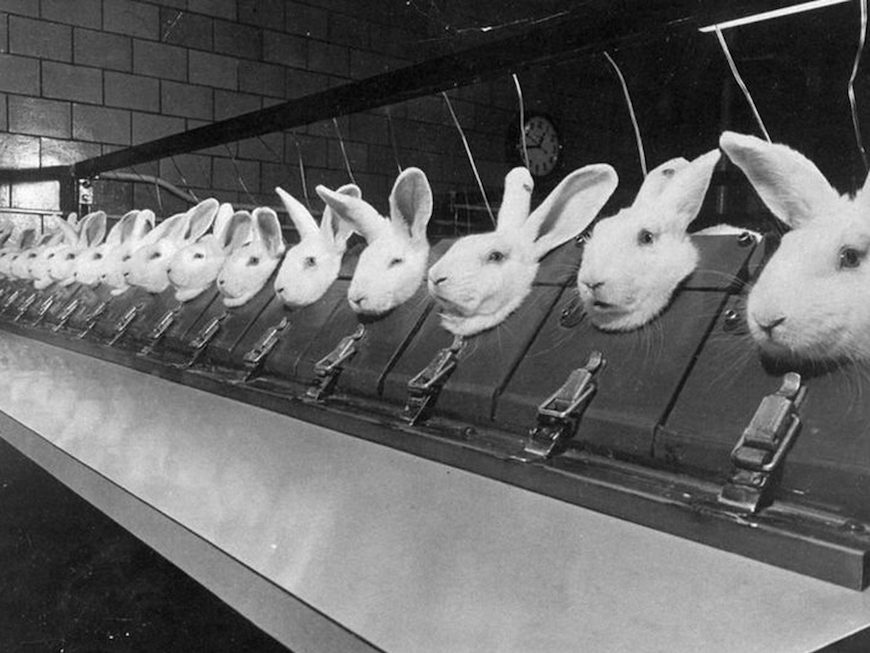 au hasard d une rencontre