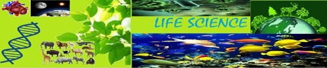 Learn Life Science