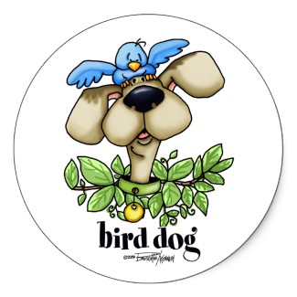 The Portuguese Water Blog: Bird Dogs In Training