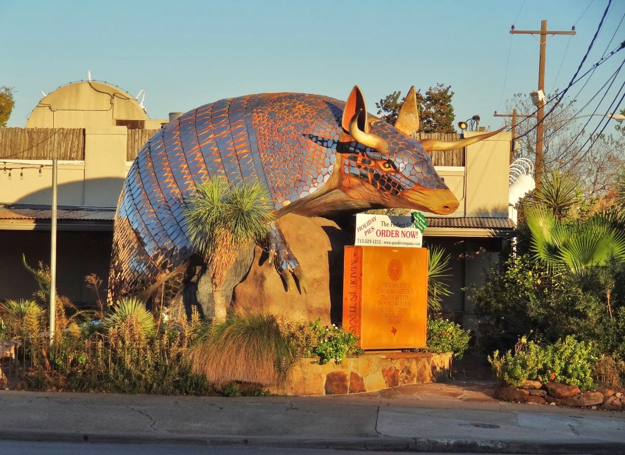 Armadillo Palace on Kirby Houston Streetwise