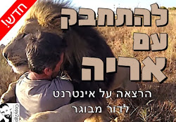 הרצאה שלי על האינטרנט, לדור המבוגר