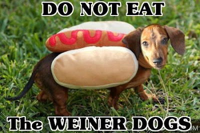 can dogs eat bologna nipclub the wigglie weiners dogs present psychedelic sixties pawty at nipclub dec can dogs eat bologna nipclub the wigglie weiners dogs present psychedelic sixties pawty at nipclub dec